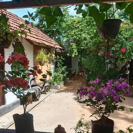 Mamisa Cafe, Home Stay Хабарана Экстерьер фото