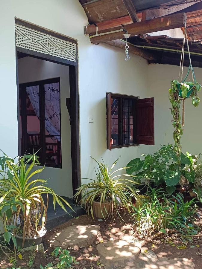 Mamisa Cafe, Home Stay Хабарана Экстерьер фото
