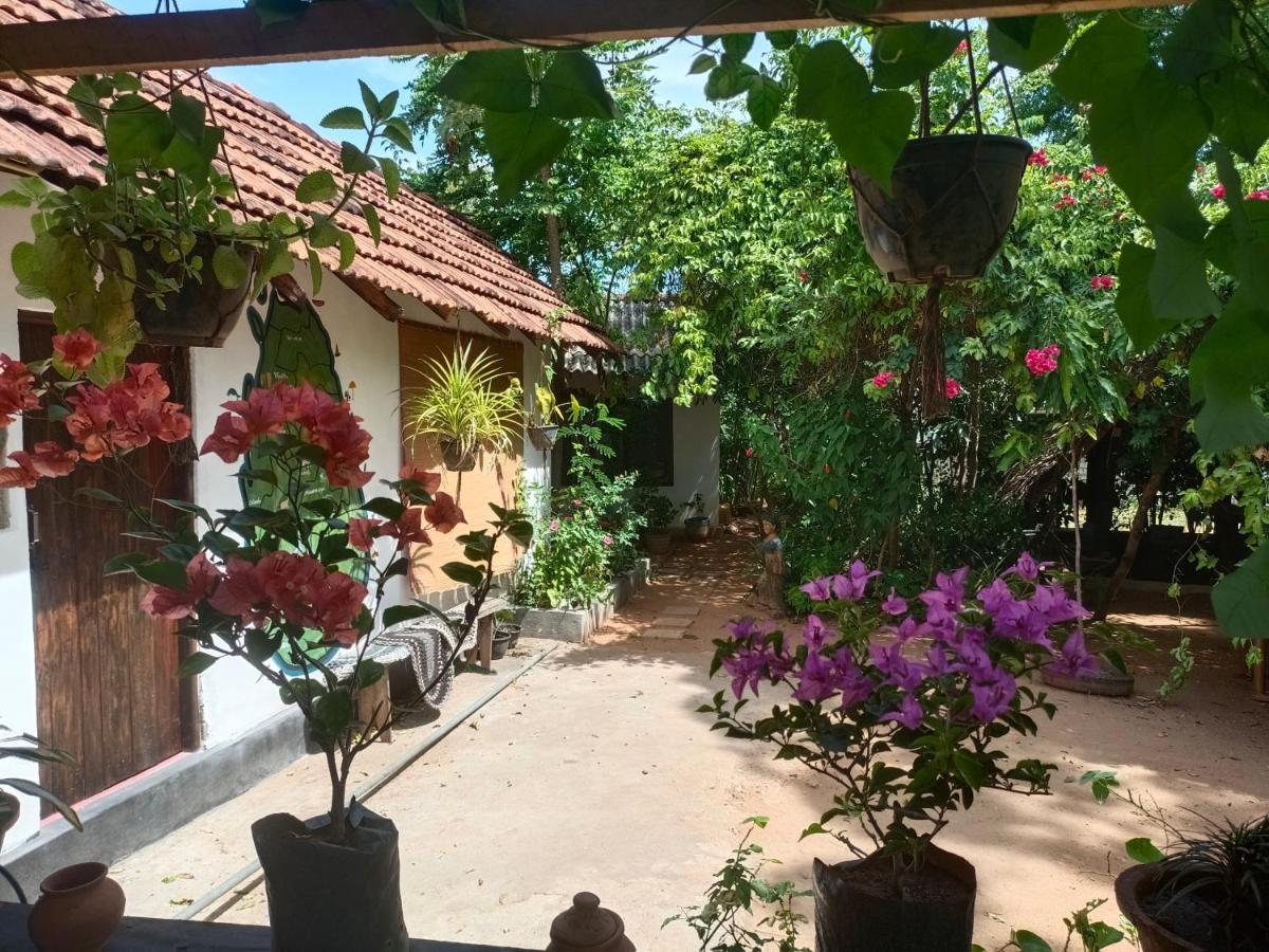 Mamisa Cafe, Home Stay Хабарана Экстерьер фото